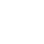 Web Design Animation